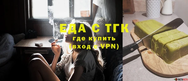 индика Анжеро-Судженск