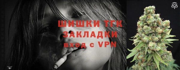 индика Анжеро-Судженск