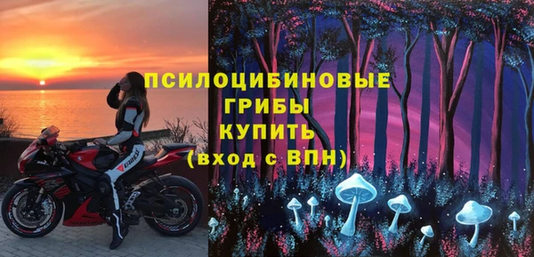 ПСИЛОЦИБИНОВЫЕ ГРИБЫ Киренск