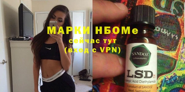 индика Анжеро-Судженск