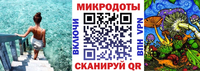 blacksprut ONION  купить   Киселёвск  Галлюциногенные грибы мицелий 